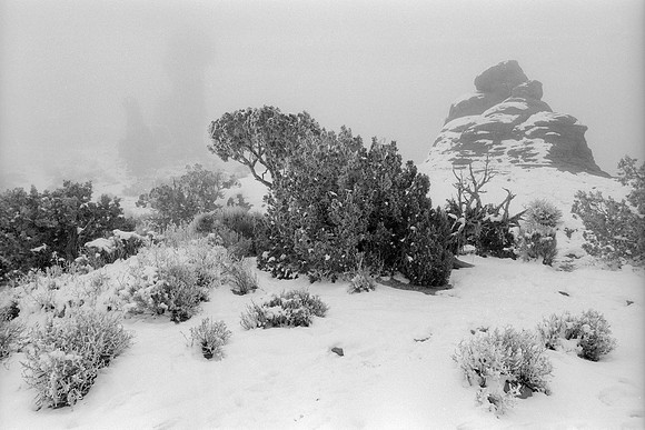 Arches National Park, Utah