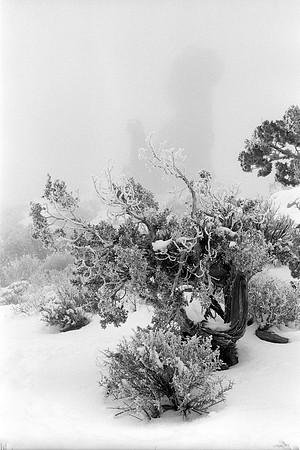 Garden of Eden, Arches National Park, Utah