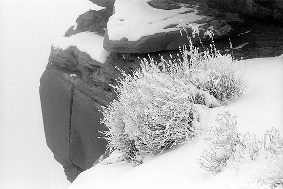 Dead Horse Point State Park, Utah