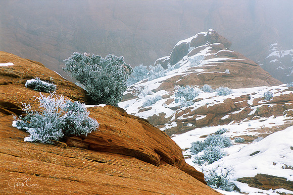Windows Area, Arches National Park, Utah