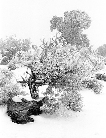 Garden of Eden, Arches National Park, Utah