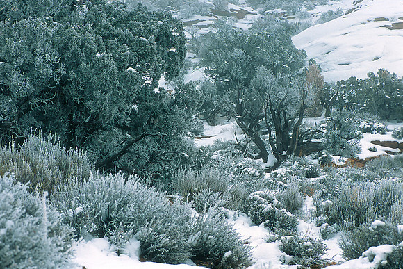 Arches National Park, Utah
