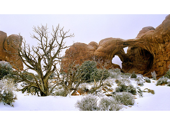 Double Arch, Arches National Park, Utah