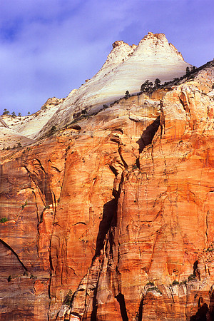 frame 00 The Beehives, Zion NP-srgb