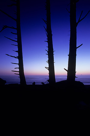 Rialto Beach, Olympic National Park, Washington (2011)