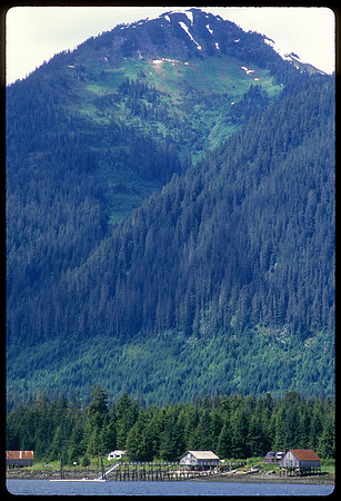 Kupreanof Island, Inside Passage, Alaska