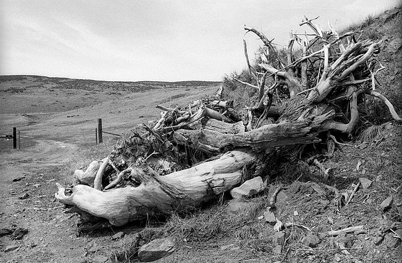 Iron Mountain Road, Wyoming
