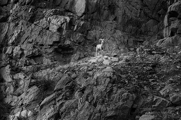Thompson Canyon