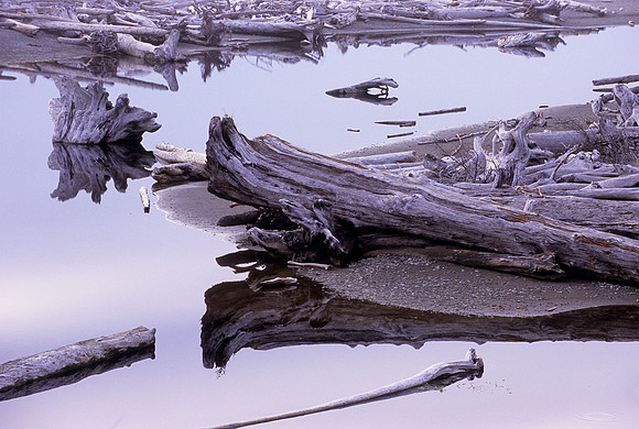 Klaloch, Olympic National Park, Washington (2011)