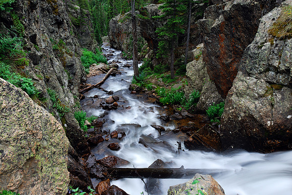 Fall River Road No  1, Rocky Mountain National Park, Colorado