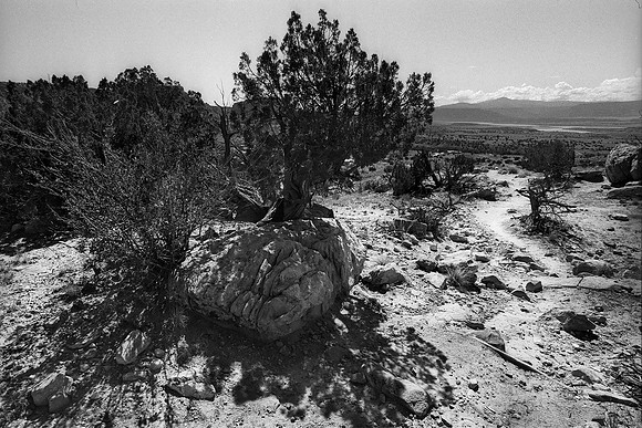 Ghost Ranch, Abiquiu, New Mexico (2014)