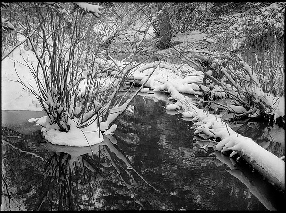 Cache la Poudre Canyon, no.3