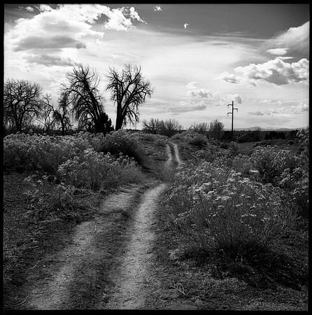 Fort Collins