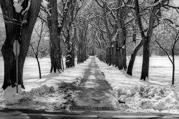 Fort Collins