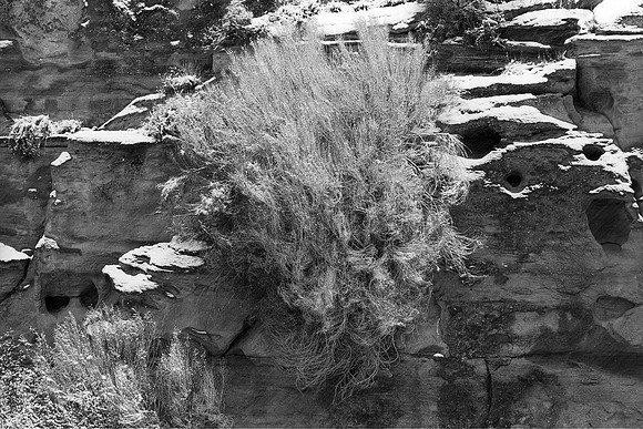 Old Man in the Rock, Potash, Utah (2020)