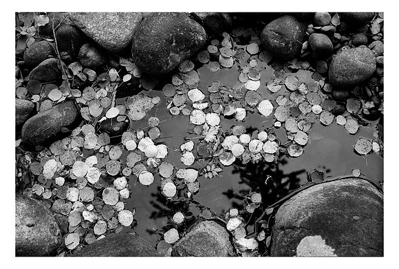 Middle Saint Vrain Creek, Roosevelt National Forest