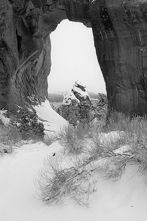 Pine Tree Arch, Arches National Park, Utah