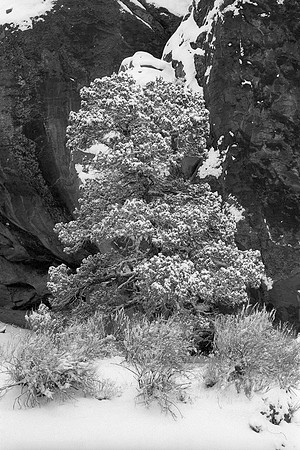 Arches National Park, Utah