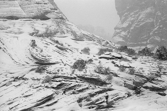 Arches National Park, Utah-Garden of Eden area