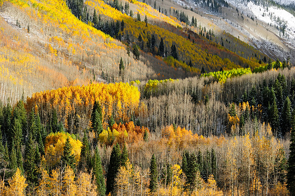 Aspen, Colorado