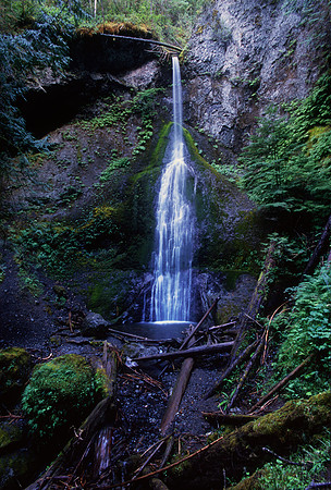 Marymere Falls, Olympic National Park, Washington