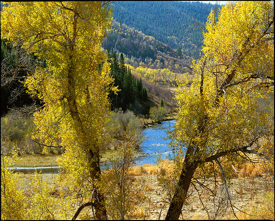 Routt County, Colorado