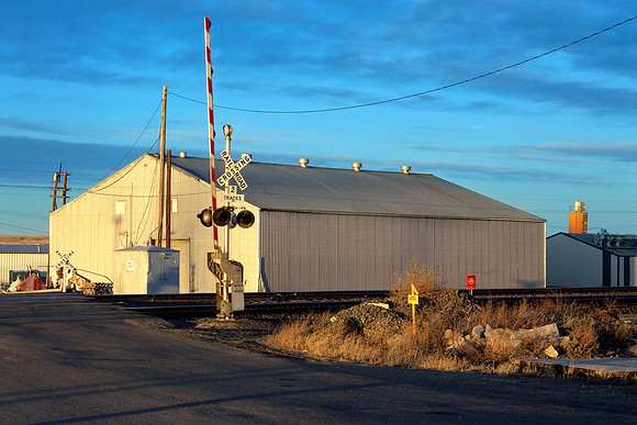 Pine (Bluffs) Wyoming (2011)