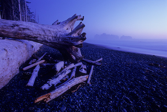 Rialto Beach, Olympic National Park, Washington (2011)