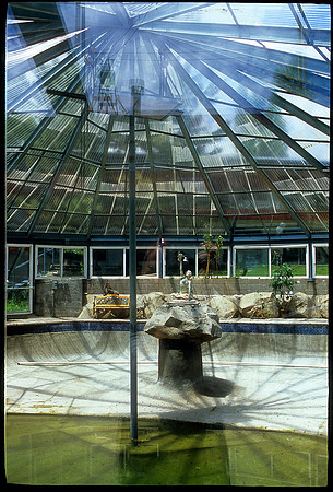 Poolhouse, Lake Tahoe