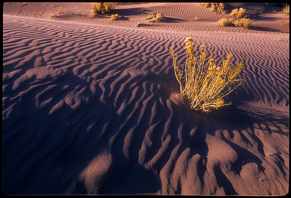 Great Sand Dunes National Park, Colorado (2009)