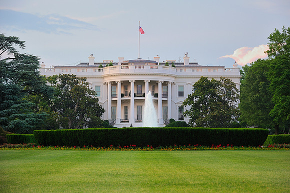 The White House, back yard.