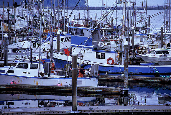 Fishing Boats, Neah Bay, Washington (2011)