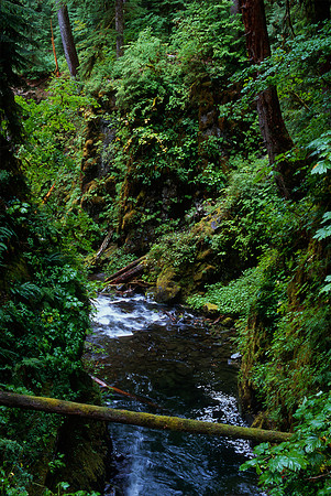 Sol Duc River, Olympic National Park, Washington