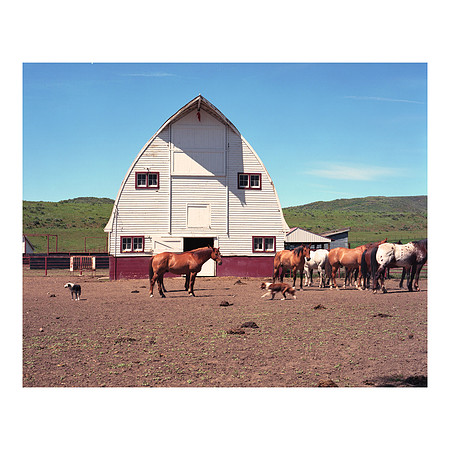 Hayden, Colorado