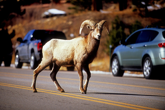 Estes Park, Colorado (2009)