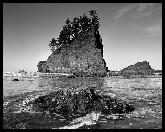 Olympic National Park, Washington