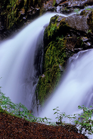 Sol Duc Falls, Olympic National Park, Washington (2011)