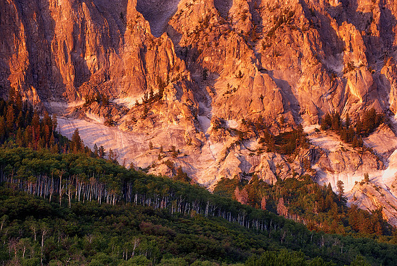 Marcellina Mountain, Kebler Pass, Colorado