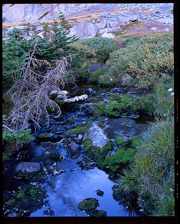 Rocky Mountain National Park, Colorado