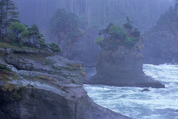 Cape Flattery, Olympic National Park, Washington (2011)
