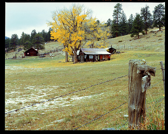 Pingree Park Road, Cache la Poudre Canyon, Colorado