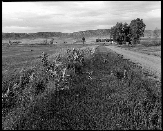 HP5+400-YAMPA-183