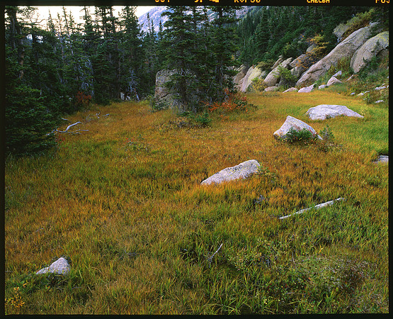 Rocky Mountain National Park, Colorado