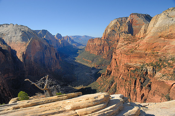 Zion Canyon from Angel's Landing summit