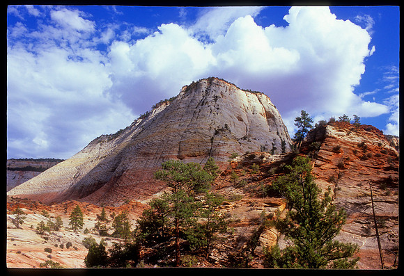 Checkerboard Mesa, Zion National Park