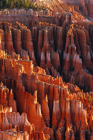 Bryce Hoo-Doo's at Sunrise