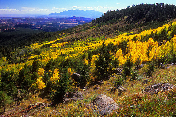 Dixie National Forest, Utah (2009)