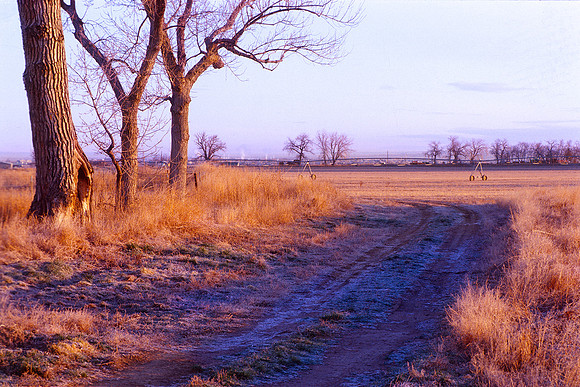 Fort Collins, Colorado (2014)