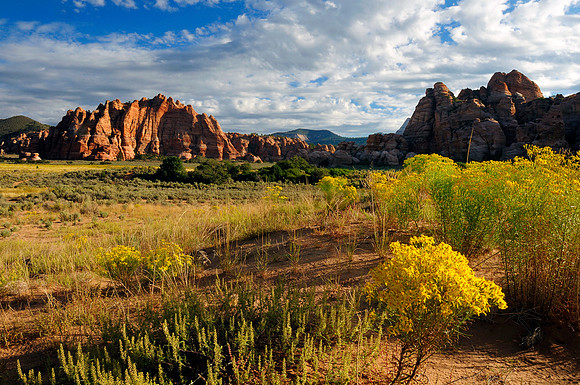 Kolob Terrace, Zion National Park