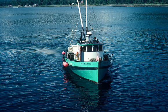 Scow Bay, Petersburg, Alaska (1984)